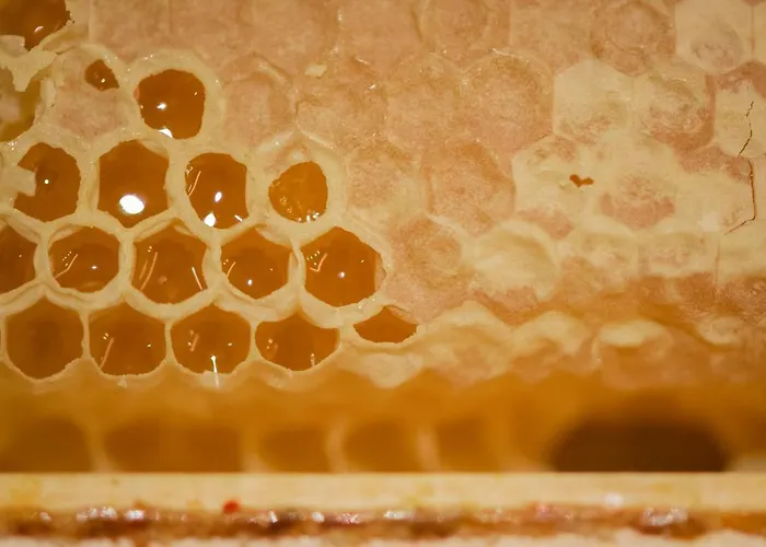 瑟萨蒂罗尔酒店